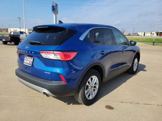 2022 Ford Escape SE in Fort Smith, AR - Harry Robinson Automotive Family