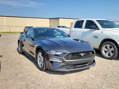 2019 Ford Mustang EcoBoost