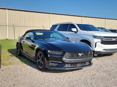 2025 Ford Mustang EcoBoost
