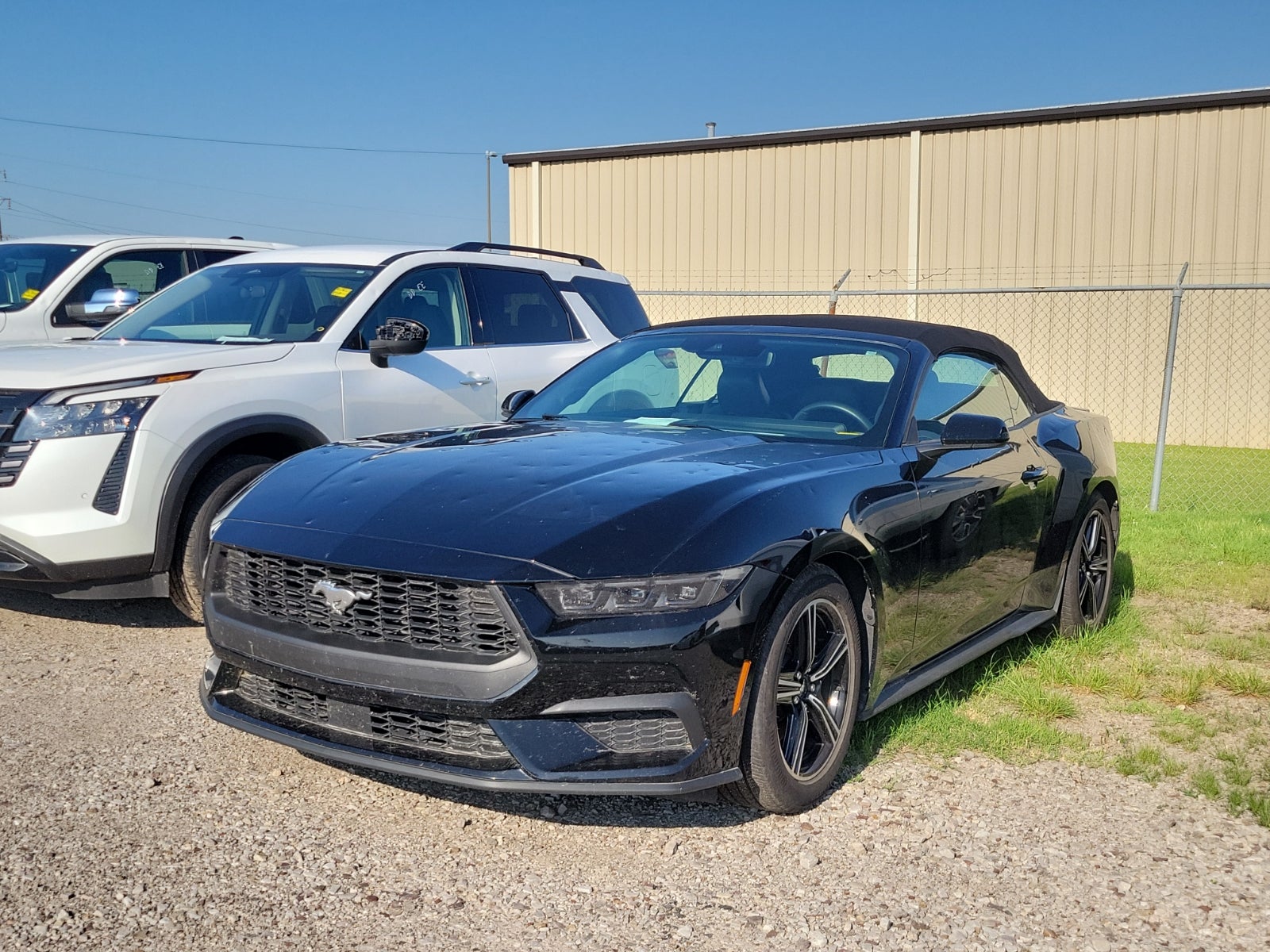 2025 Ford Mustang EcoBoost
