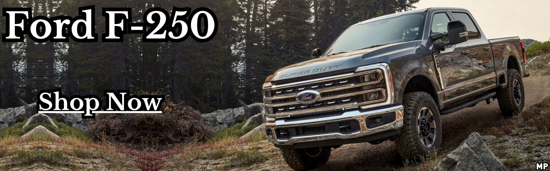 2025 Ford F-250